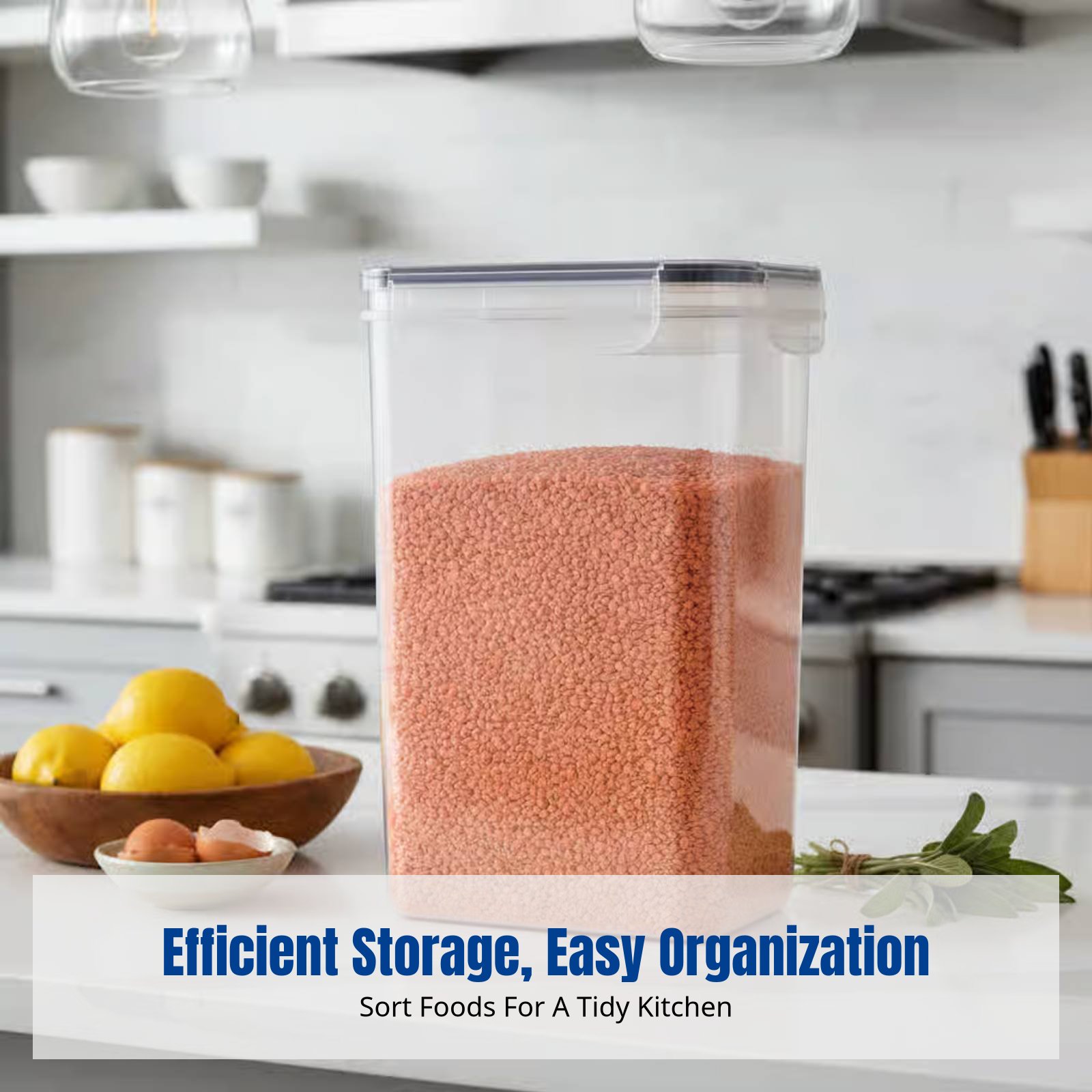 ชุดภาชนะเก็บอาหารสุญญากาศ ความ - Food Storage Plastic บทวิจารณ์และราคา